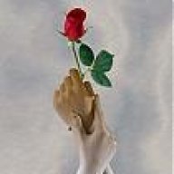 كل العطاء