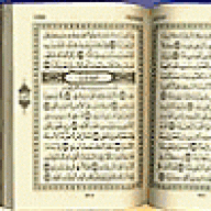 سعدعلى