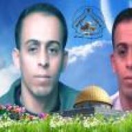 يوسف ابو شعيب