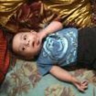 ام وليف