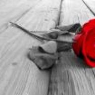 همس القوافي