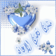 ابن الجنوب ال