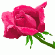 الأمل بالله