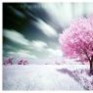 لم أفقد الأمل