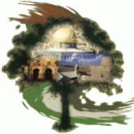 بنت فلسطين 6