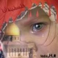 الوردة الجريحة