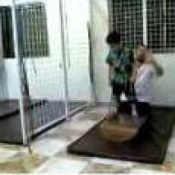 خماسيات