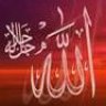 التائبه لله