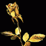 الدمعه الخجوله