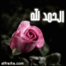 بنت أبووووها