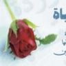 أخصائية مجتمع