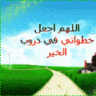 العرينى