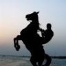 الحكمه