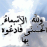 عبد الحسيب