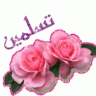 نبيلة محمد