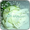 نسائم الرضا