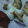 ام عمرو وملك