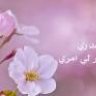 صبري بالله