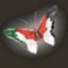 امير الفراشه