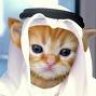 عبدالهادى سلام