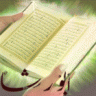 أبـو رشـا