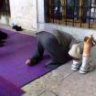 ريم بلال