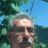 عمو فارس