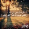 منتقبة الصحراء
