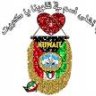 أنامل