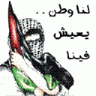 امير الفراشات