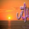 سلمى شلبى
