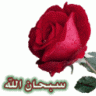 نقطة حبر