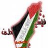 عيون القمر