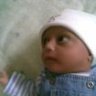 أم فصوولي