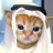 عبدالهادى سلام
