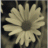فنتاستك